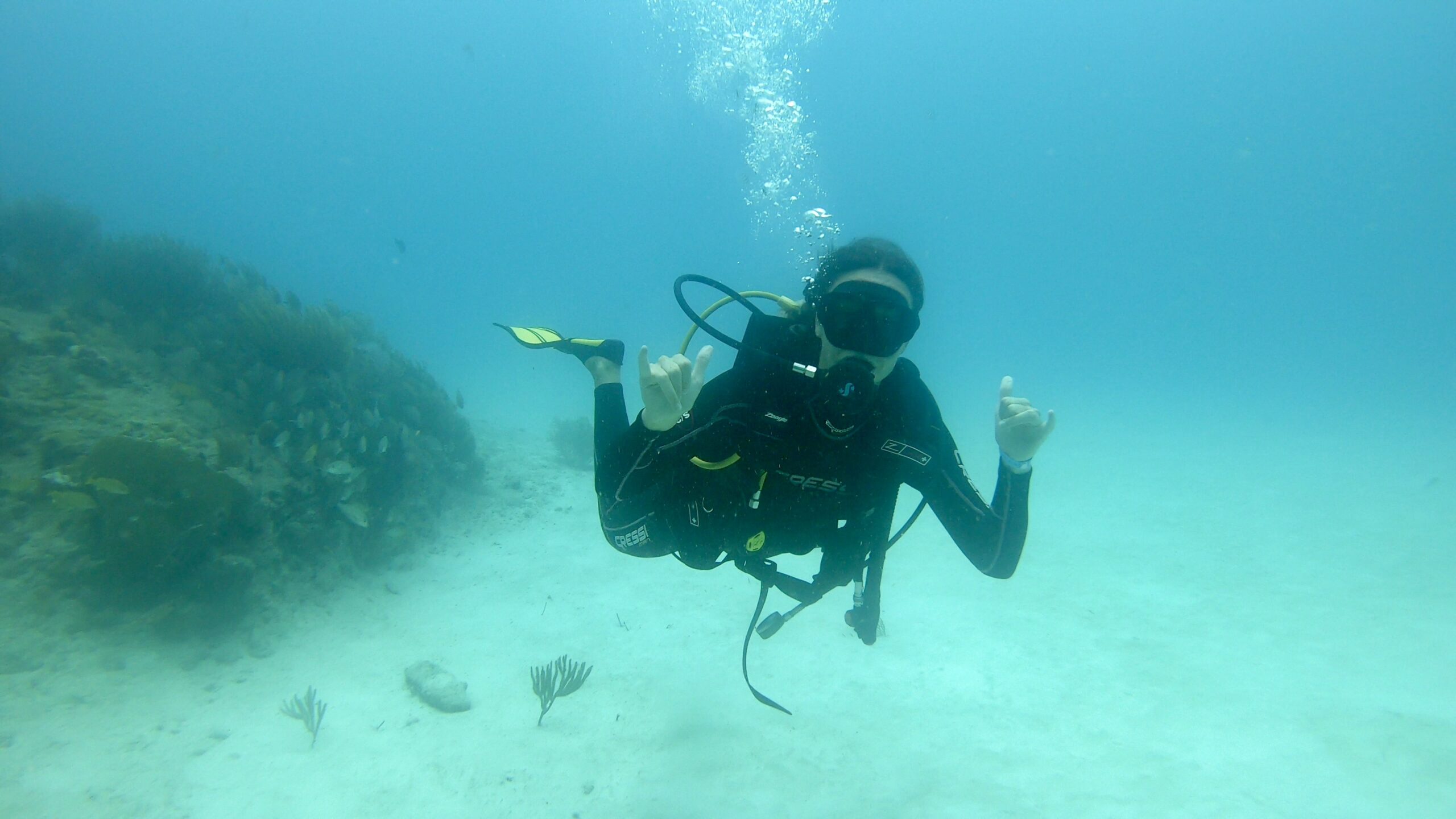 Tauchgang in Cozumel, Mexiko Tauchgang in Cozumel, Mexiko