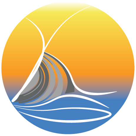 Zwischen Buchten und Bytes